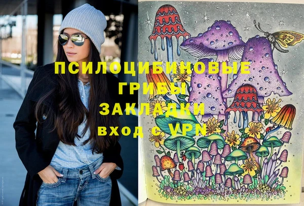 гидра Пестово