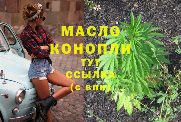 МДПВ Ельня