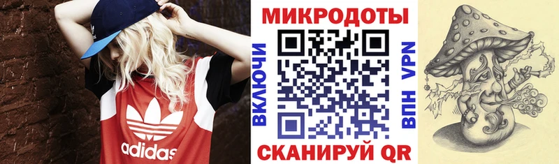 Псилоцибиновые грибы Psilocybine cubensis  Белореченск 