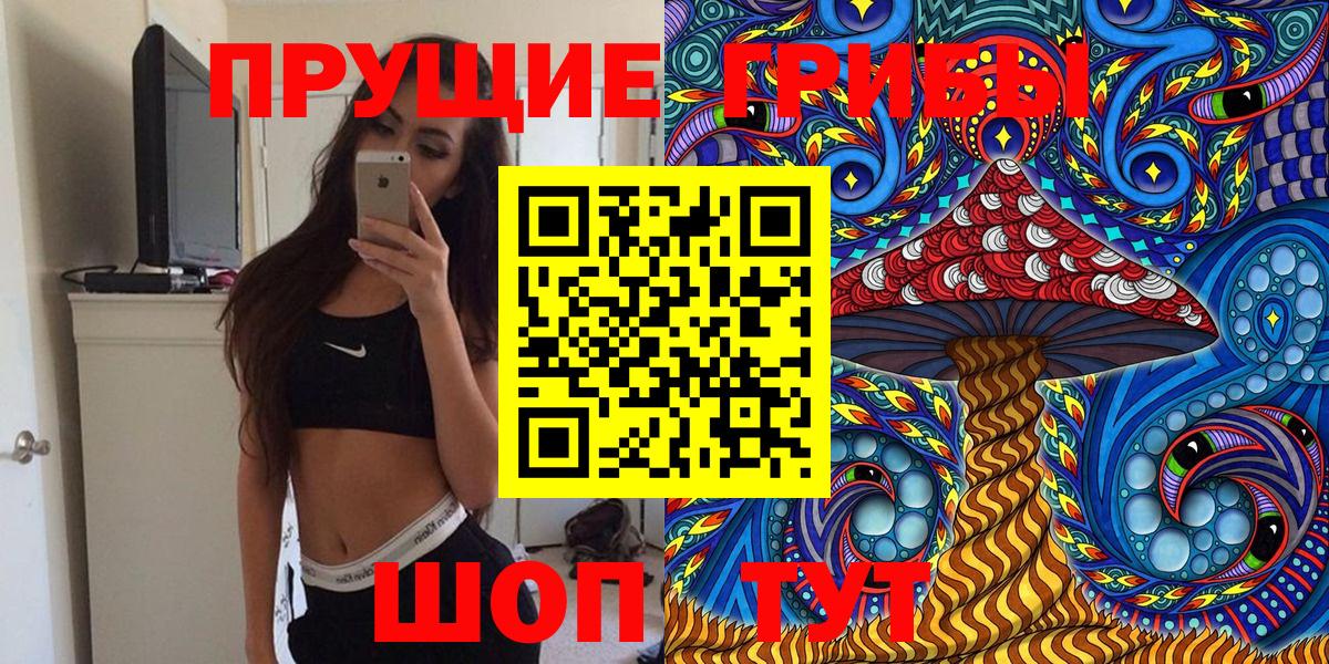 Галлюциногенные грибы Psilocybe Белореченск