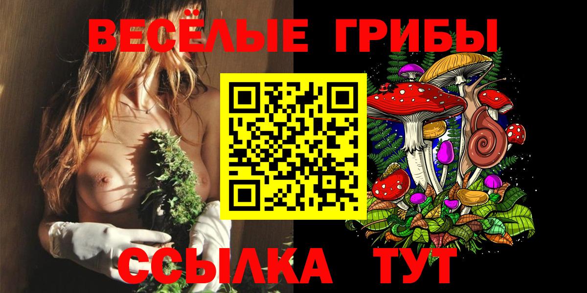 Галлюциногенные грибы MAGIC MUSHROOMS  Вход с VPN  Псилоцибиновые грибы Cubensis  Белореченск 